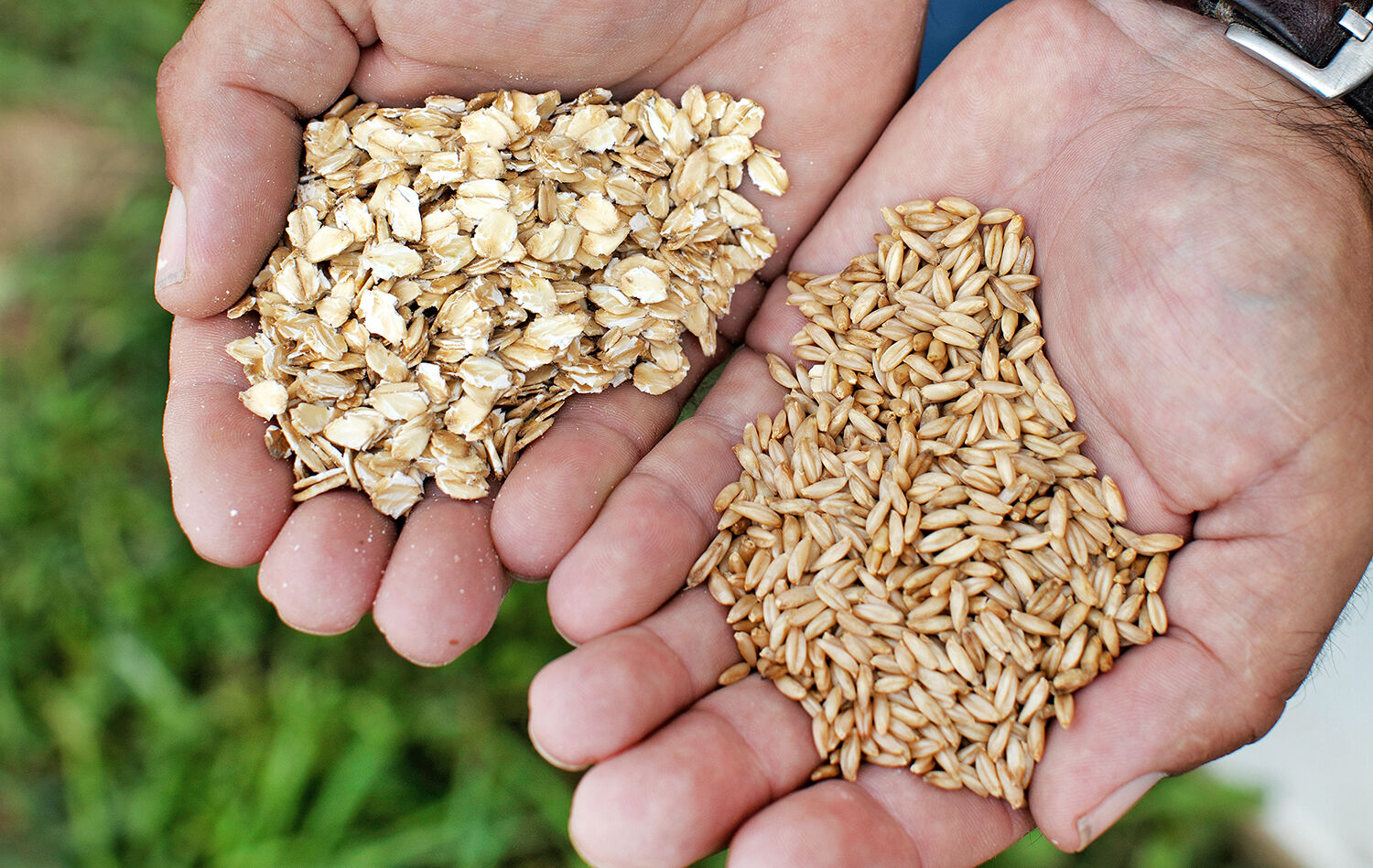 Rolled oats
